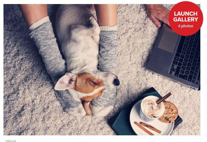 Warm Up This Winter With These Cozy Must-Haves - Parade