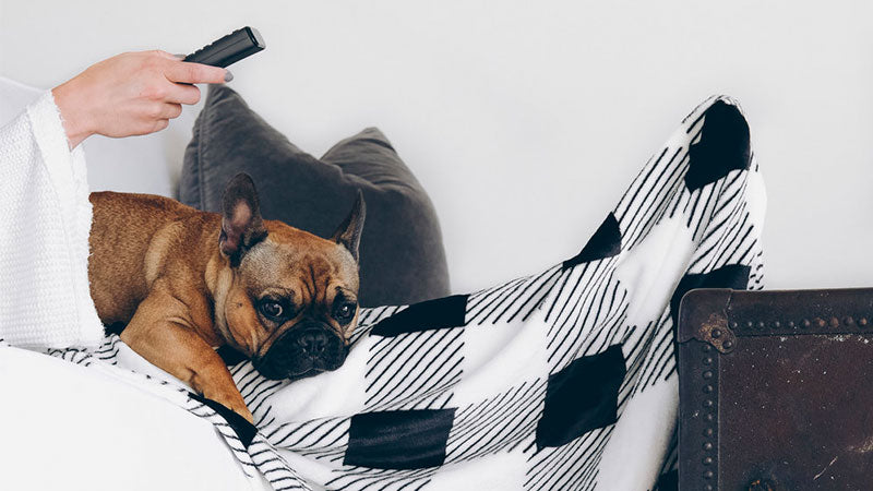 THE COZY BLANKET YOU NEED FOR FALL.